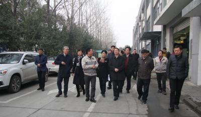 十年腾博汇游戏官网伴我行 又添春雨沐东风 ——记天津津南区党政代表团光临合肥腾博汇游戏官网调查领导